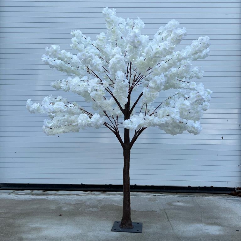 Dogwood Tree